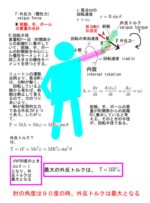 腕の角度と外反トルク（valgus torque).jpg