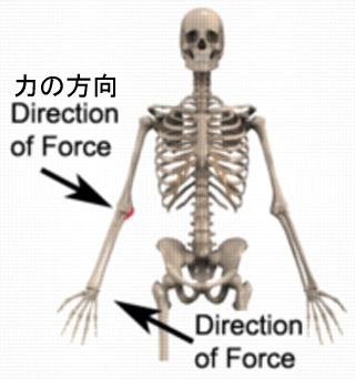 valgus forceのコピー.jpg